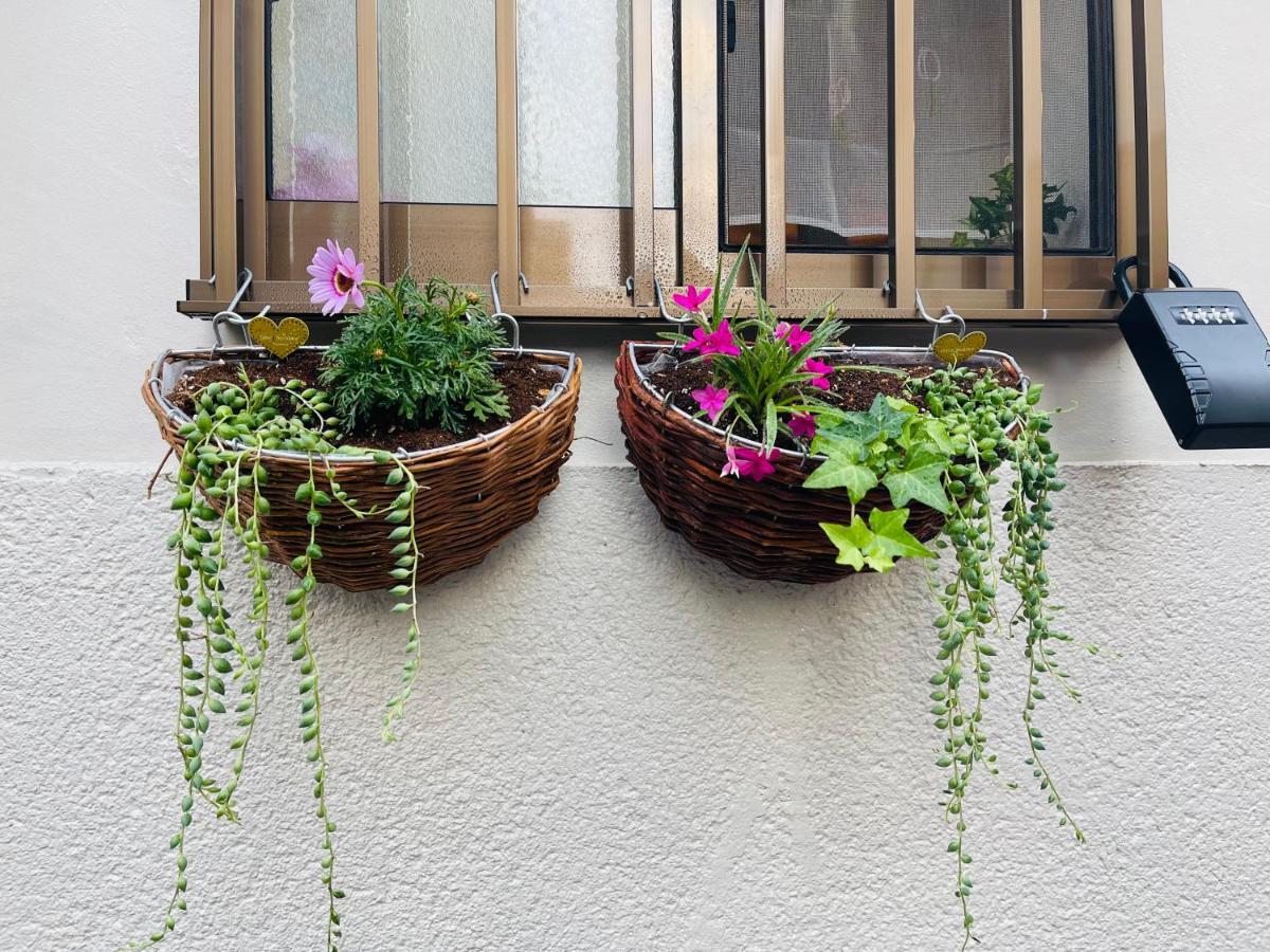 Namba Shinsaibashi 10 Mins Reiko Guest House Osaka Exterior foto